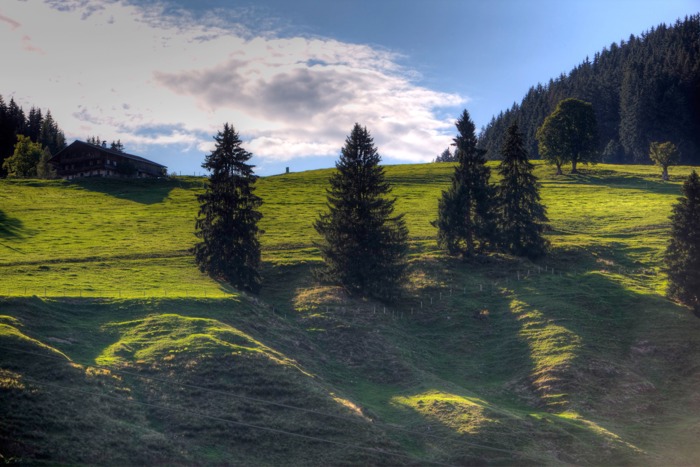 Sommerurlaub in der Region Wilder Kaiser