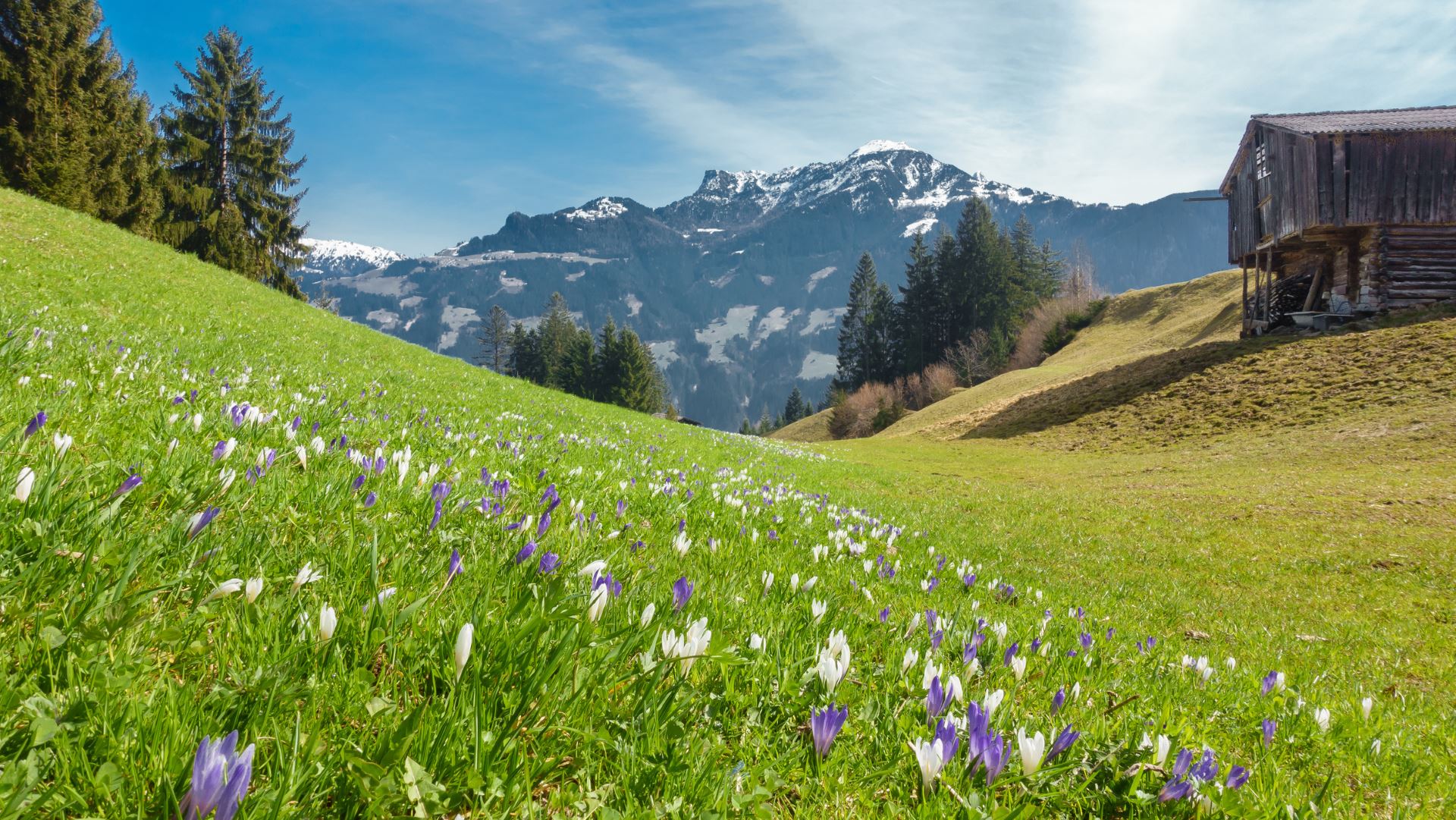 Frühling in Tirol