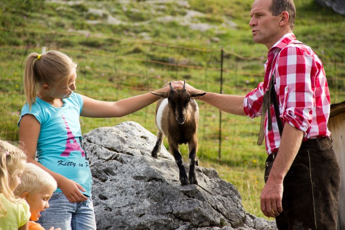 Familienurlaub in der Region Wilder Kaiser