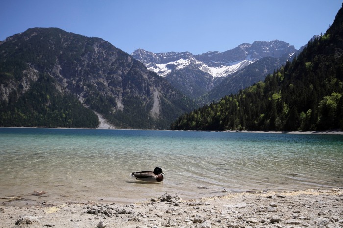 Sommerurlaub in der Ferienregion Reutte