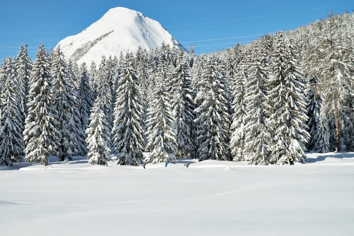 Winterurlaub in Seefeld
