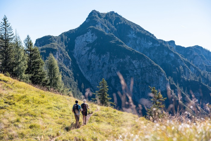 Wanderurlaub im Alpbachtal