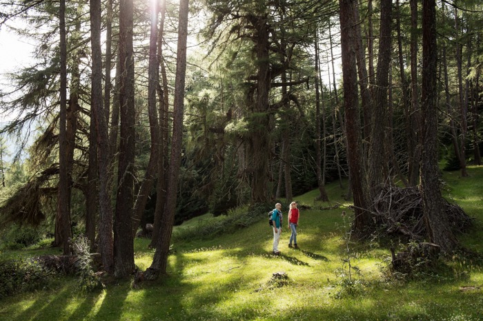 Familienurlaub in der Nationalparkregion Hohe Tauern