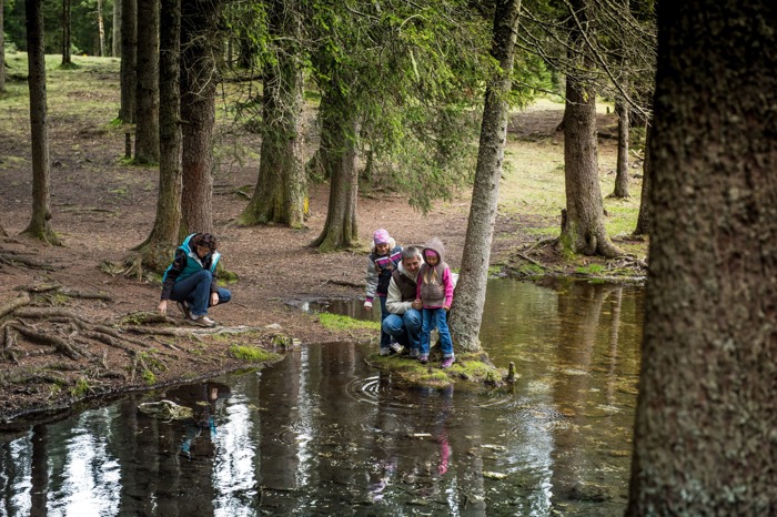Familienurlaub im Wipptal