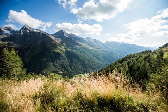 Sommerurlaub im Ahrntal